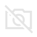 Budescu Andrei Cristian